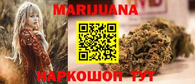 Альфа ПВП Кандалакша