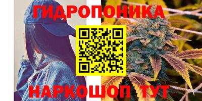ALPHA-PVP Камышлов