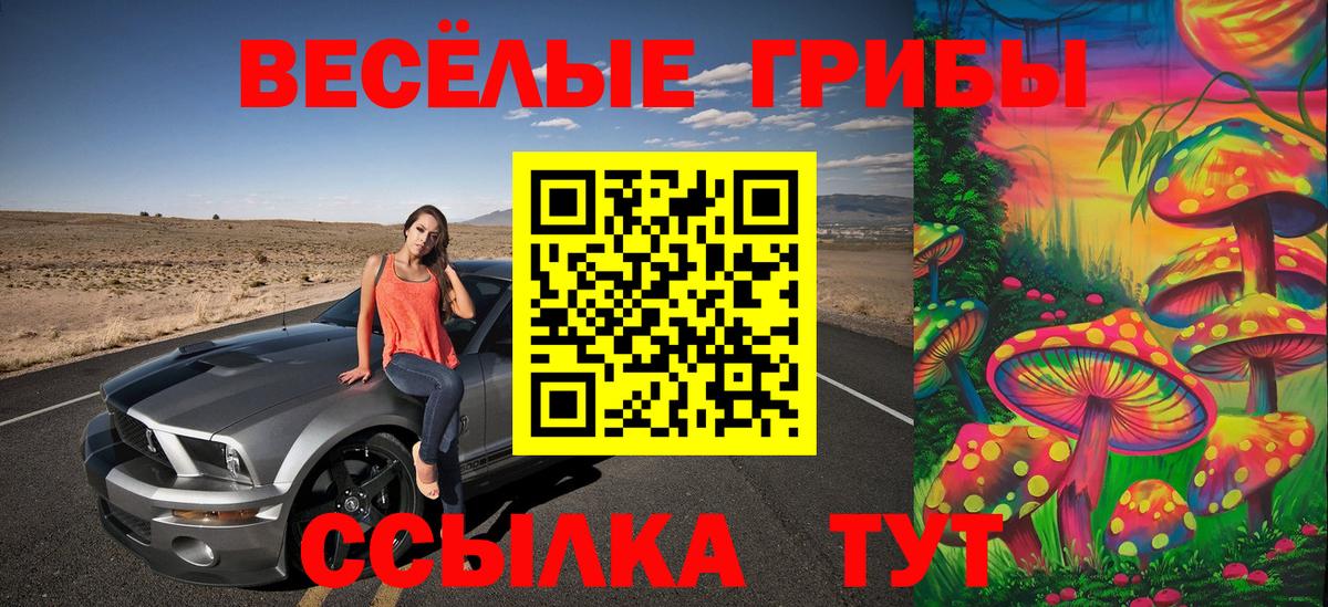 Галлюциногенные грибы Cubensis  продажа наркотиков  Каменск-Уральский  Вход с VPN 