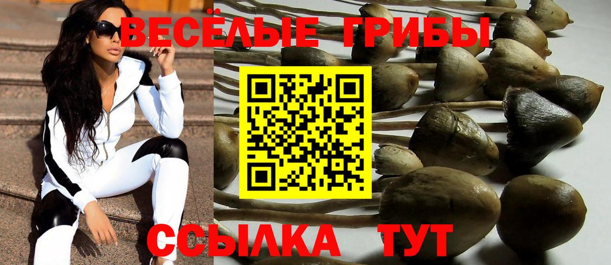 Псилоцибиновые грибы Psilocybe Каменск-Уральский