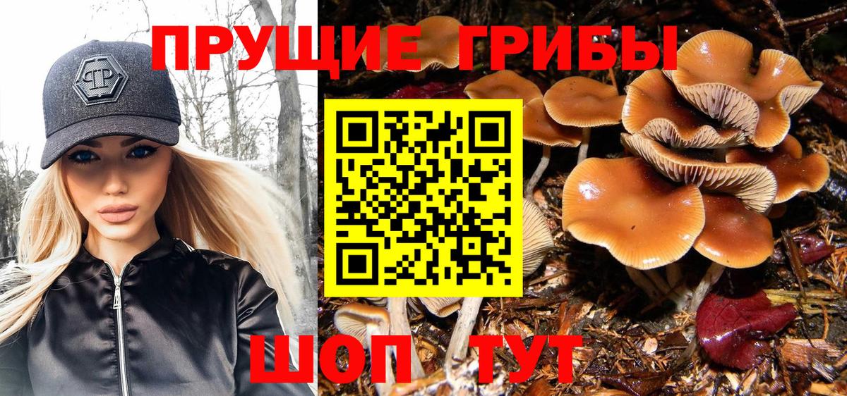Alpha PVP СОЛЬ   Гашиш  МЕТАМФЕТАМИН  ГАШИШ  Бошки Шишки  Каменск-Уральский  Меф кристаллы  COCAIN  Купить наркоту  Вход с VPN 
